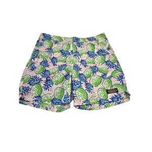 Vineyard Vines Mens Pineapple Print Pink Blue Green Swim Trunks Drawstring Sz Sm